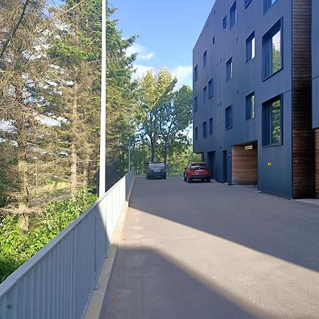 Puffin Nest, Superior Apartment Reykjavík Exterior foto